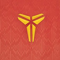 Nike Kobe VII Year Of The Dragon packaging