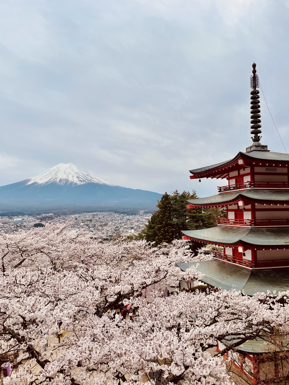 JPN